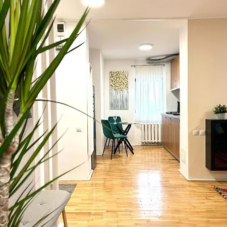 Parliament Skytower Apartament Bukareszt